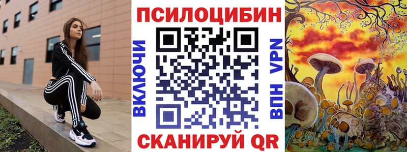 где можно купить наркотик  Копейск  Псилоцибиновые грибы мицелий 
